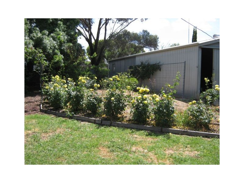 21 Hay Street, Bordertown SA 5268