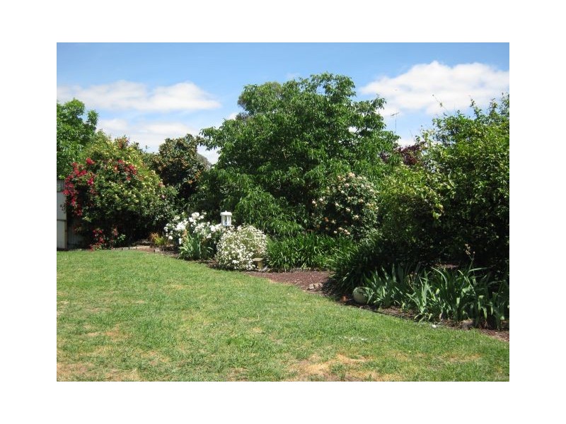 21 Hay Street, Bordertown SA 5268