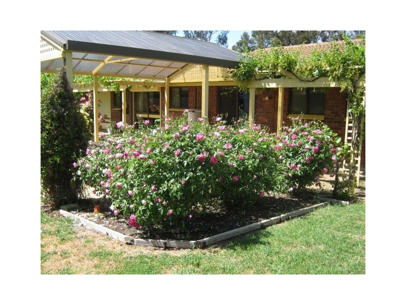 21 Hay Street, Bordertown SA 5268