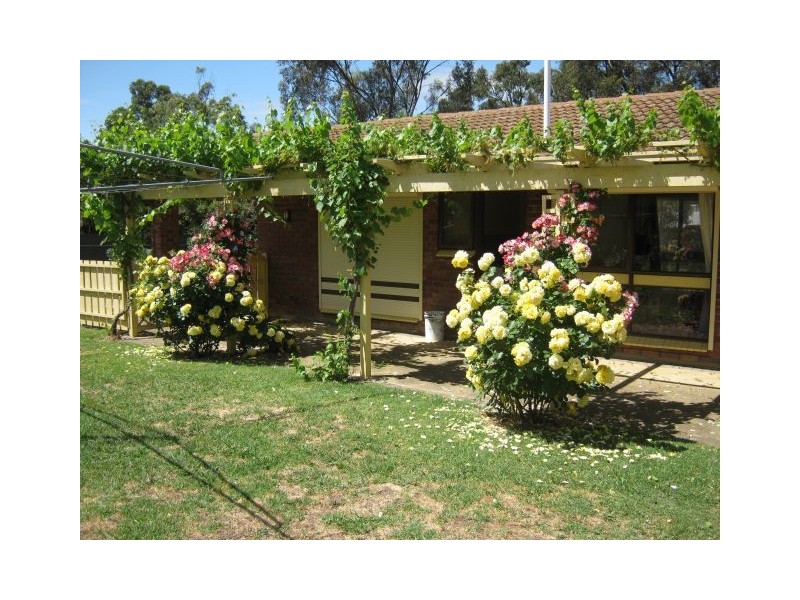 21 Hay Street, Bordertown SA 5268
