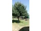 9 Orchard Avenue, Keith SA 5267