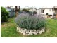 9 Orchard Avenue, Keith SA 5267