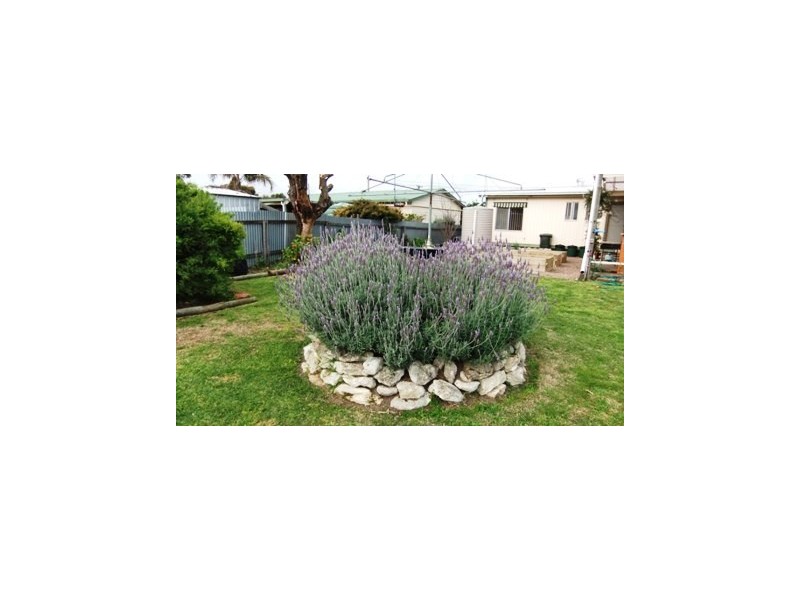 9 Orchard Avenue, Keith SA 5267