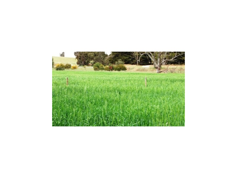 Lot 2 Emu Rise Estate, Keith SA 5267