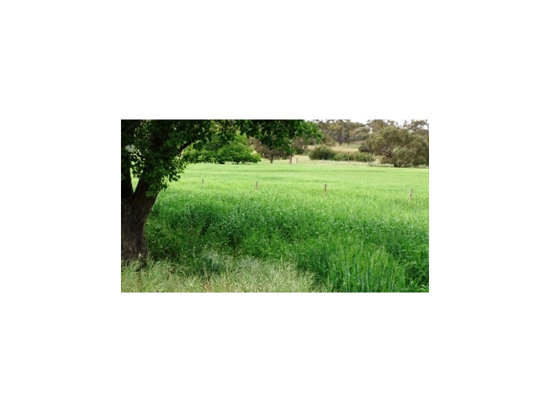 Lot 2 Emu Rise Estate, Keith SA 5267