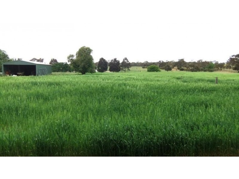 Lot 2 Emu Rise Estate, Keith SA 5267