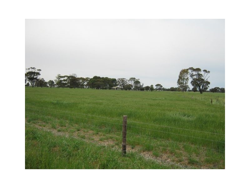 951 Frances Road, Bordertown SA 5268