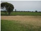 951 Frances Road, Bordertown SA 5268