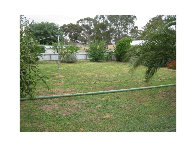 10 Eveline Street, Bordertown SA 5268