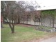 10 Eveline Street, Bordertown SA 5268