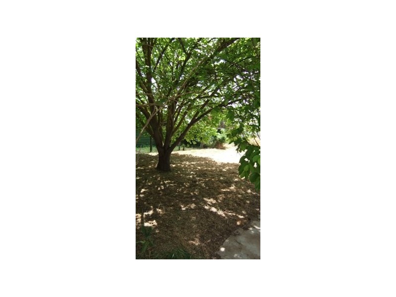 29 Goretti Avenue, Keith SA 5267