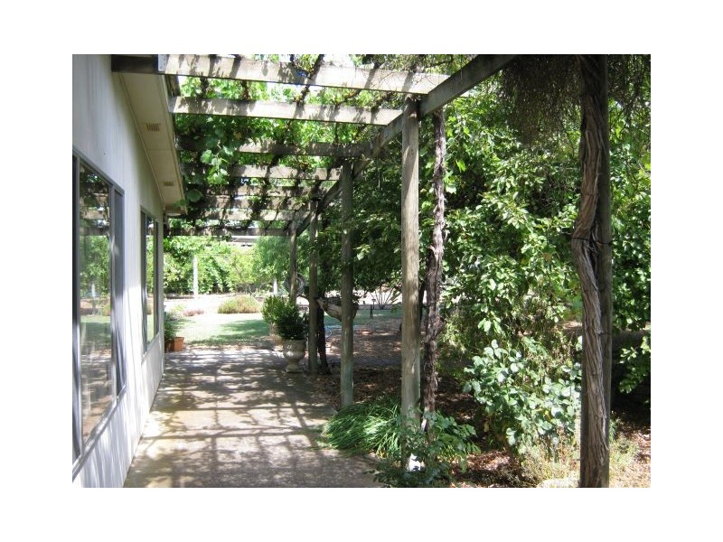 59 Park Terrace, Bordertown SA 5268