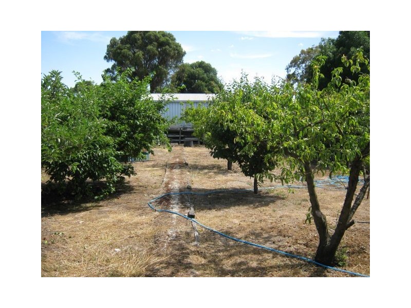 59 Park Terrace, Bordertown SA 5268