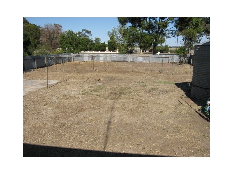 11 Murray Street, Bordertown SA 5268