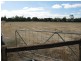 293 Naracoorte Road, Bordertown SA 5268