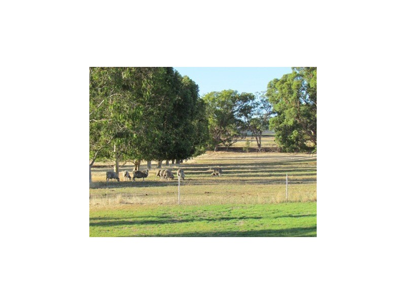 14 Emu Rise Road, Keith SA 5267