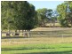 14 Emu Rise Road, Keith SA 5267