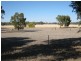 24 South Avenue, Bordertown SA 5268