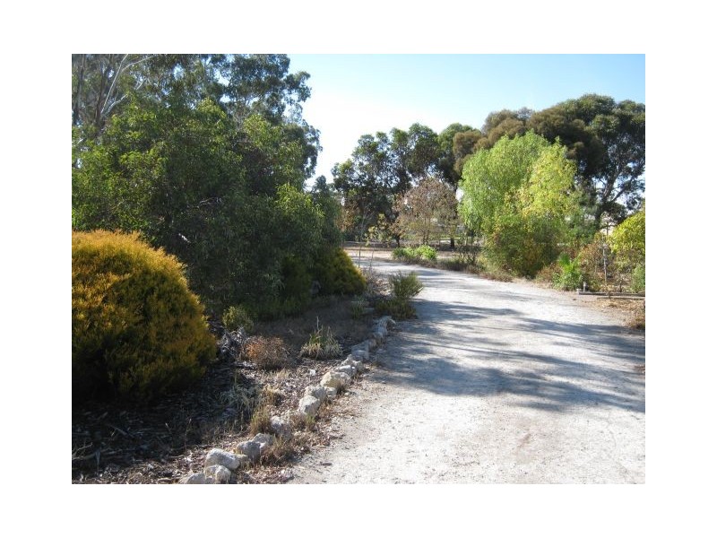 24 South Avenue, Bordertown SA 5268
