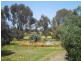 24 South Avenue, Bordertown SA 5268