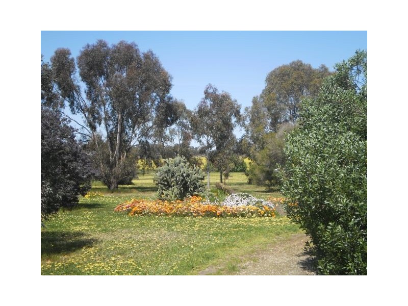 24 South Avenue, Bordertown SA 5268