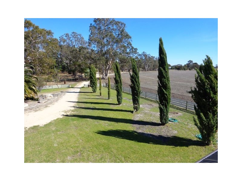 91 Leach’s Road, Bordertown SA 5268