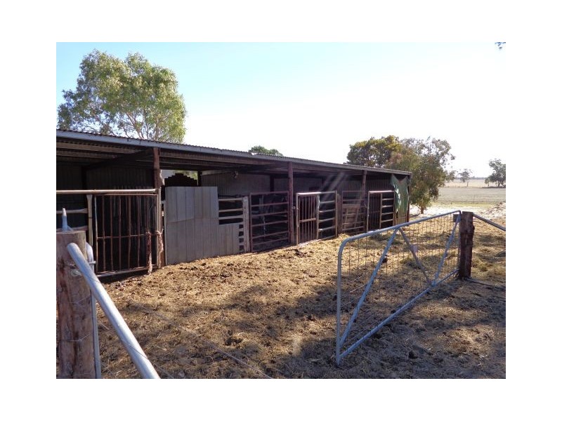 91 Leach’s Road, Bordertown SA 5268