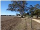 91 Leach’s Road, Bordertown SA 5268