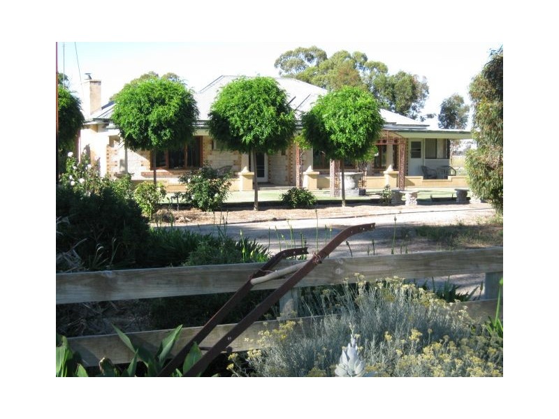 646 Cannawigara Road, Bordertown SA 5268