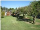 646 Cannawigara Road, Bordertown SA 5268