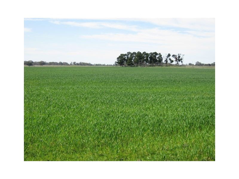 712 Pine Hill North Road, Bordertown SA 5268