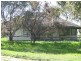 712 Pine Hill North Road, Bordertown SA 5268