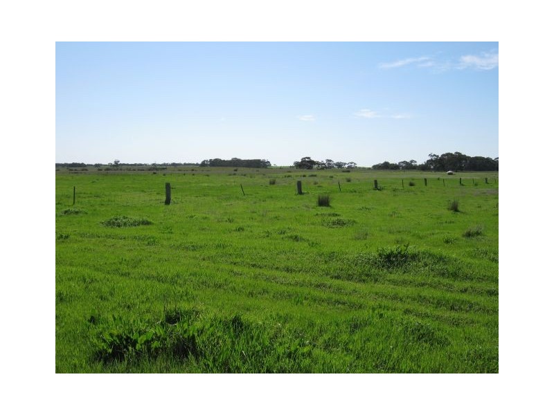 712 Pine Hill North Road, Bordertown SA 5268