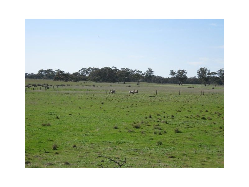 712 Pine Hill North Road, Bordertown SA 5268