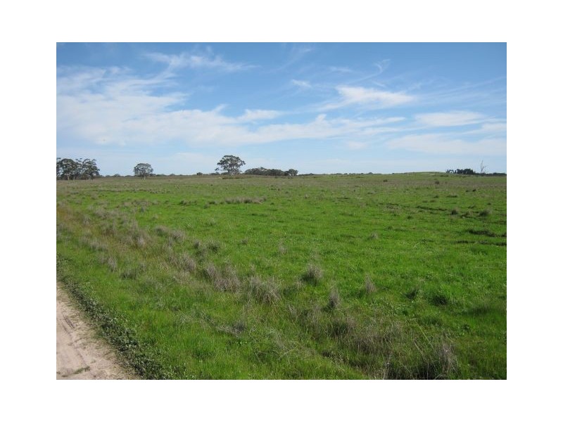 712 Pine Hill North Road, Bordertown SA 5268