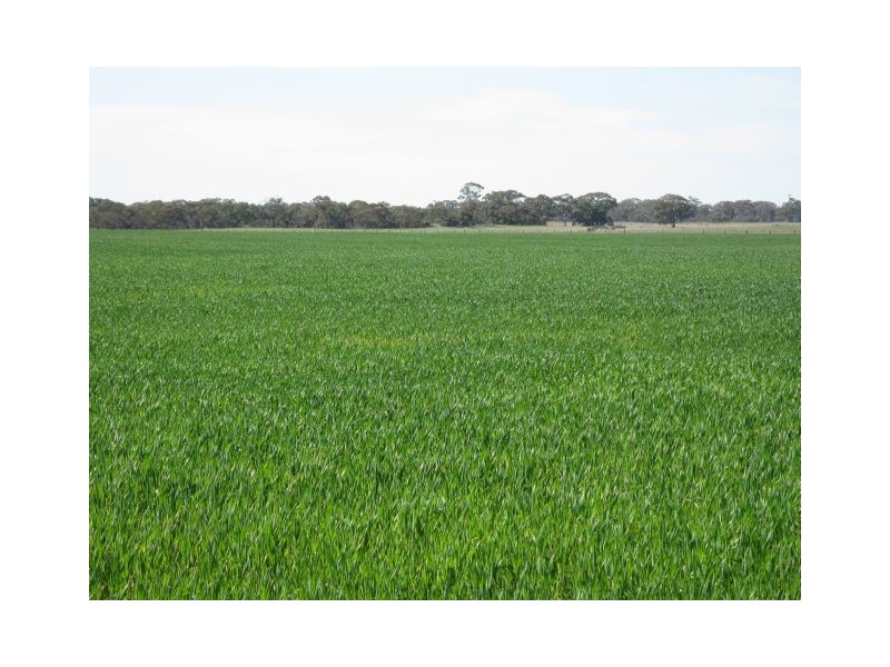 712 Pine Hill North Road, Bordertown SA 5268