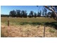 Lot 7 Emu Rise Road, Keith SA 5267