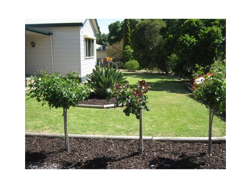 1 Eveline Street, Bordertown SA 5268