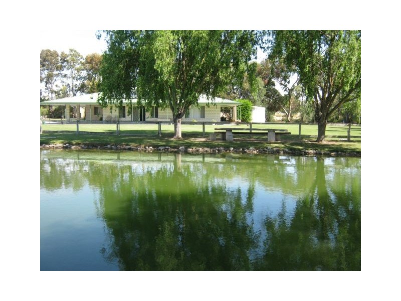 20 Green Street, Bordertown SA 5268