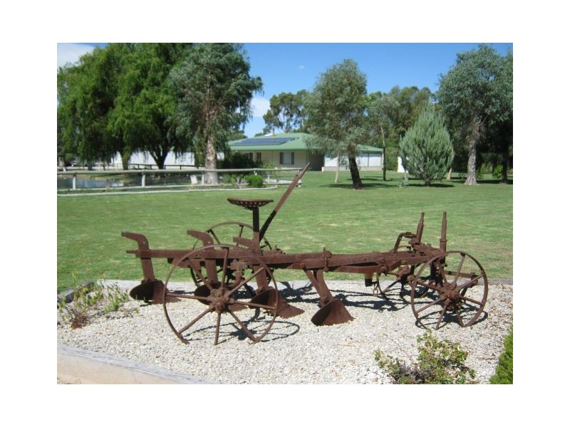 20 Green Street, Bordertown SA 5268