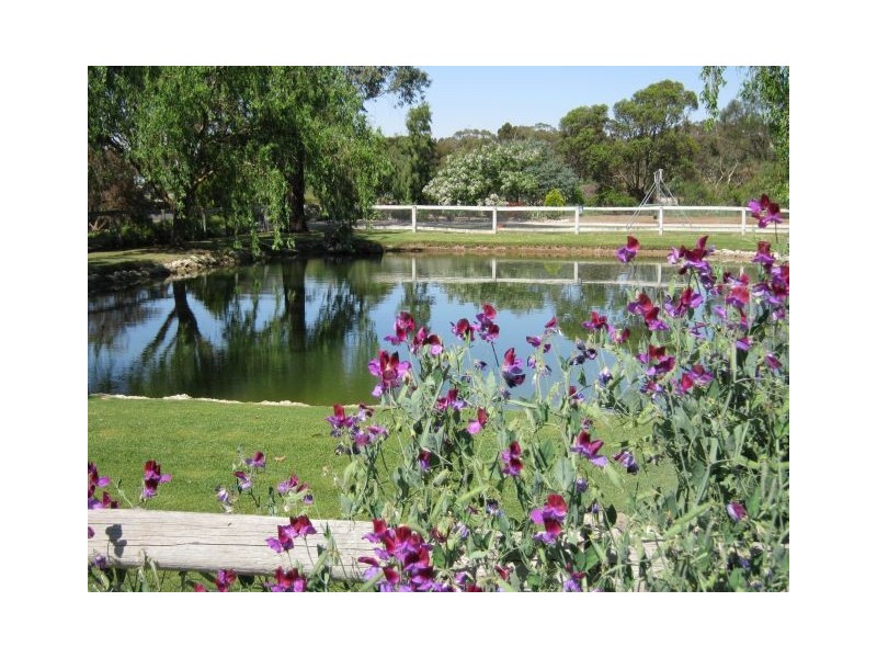 20 Green Street, Bordertown SA 5268