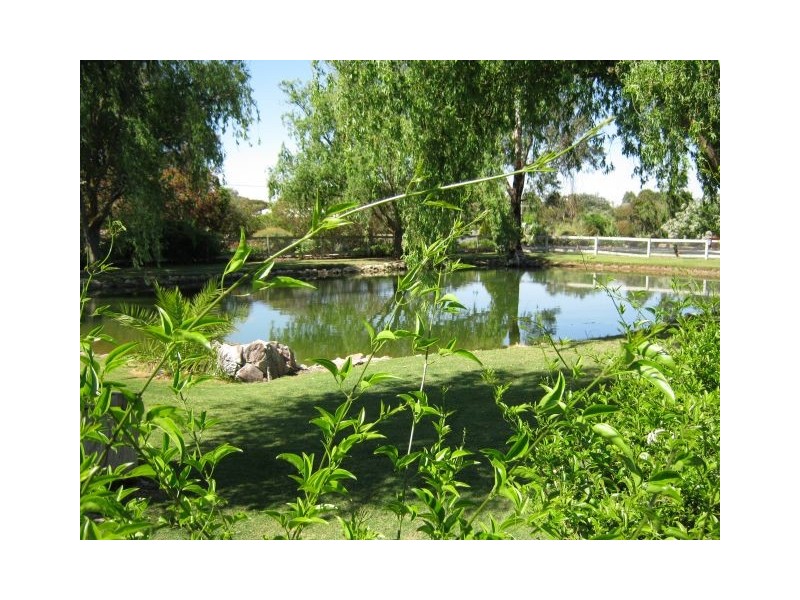 20 Green Street, Bordertown SA 5268