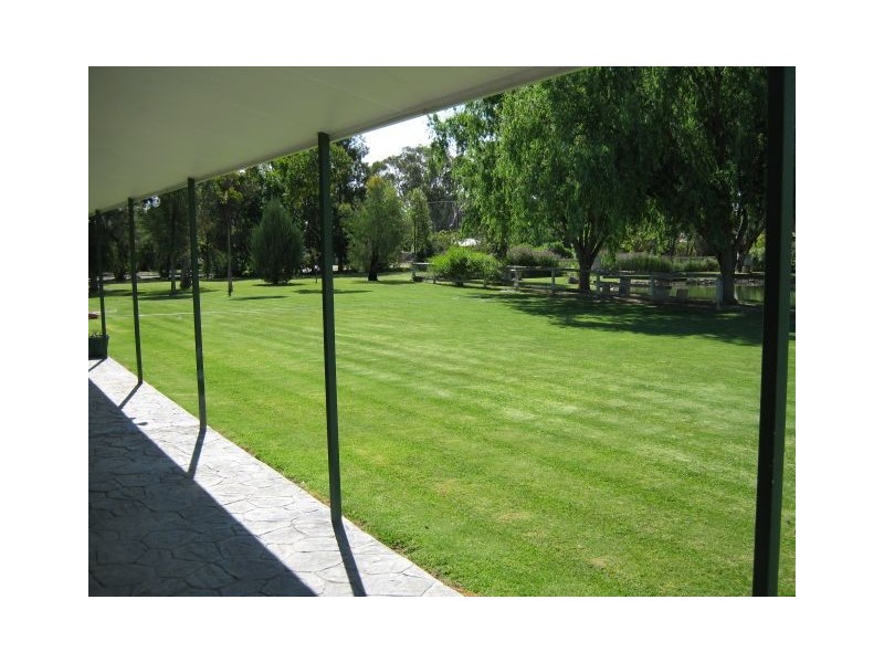 20 Green Street, Bordertown SA 5268