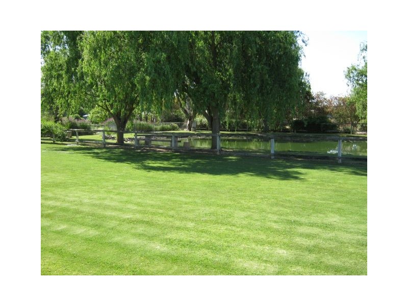 20 Green Street, Bordertown SA 5268