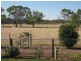 Lot 616, 32 South Avenue, Bordertown SA 5268