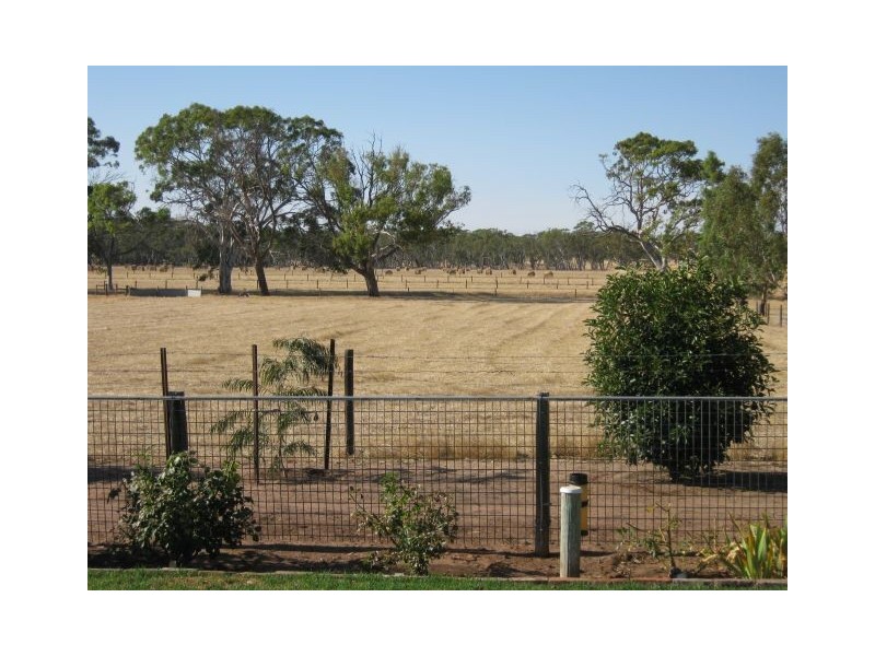 Lot 616, 32 South Avenue, Bordertown SA 5268