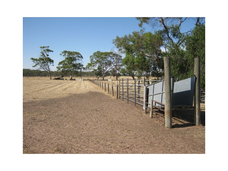 Lot 616, 32 South Avenue, Bordertown SA 5268