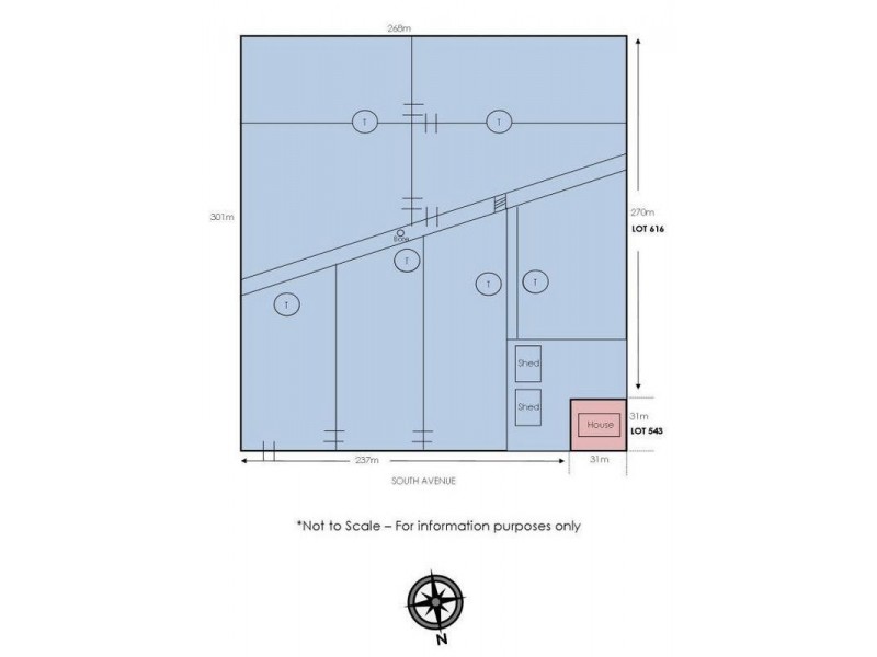 Lot 616, 32 South Avenue, Bordertown SA 5268