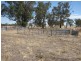 1099 Langley Road, Bordertown SA 5268