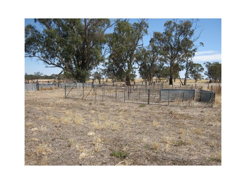 1099 Langley Road, Bordertown SA 5268